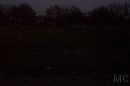 Weeton 069 * 1080 x 720 * (125KB)